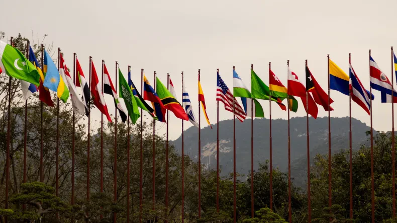 Appels d'offres internationaux : quels documents traduire, et jusqu'où